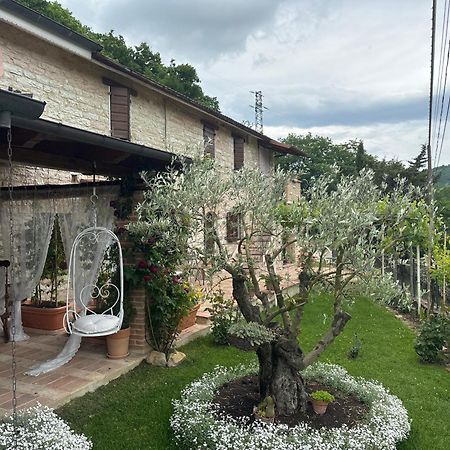 B&B Il Poggetto Serra SantʼAbbondio Kültér fotó