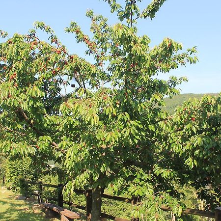 B&B Il Poggetto Serra SantʼAbbondio Kültér fotó