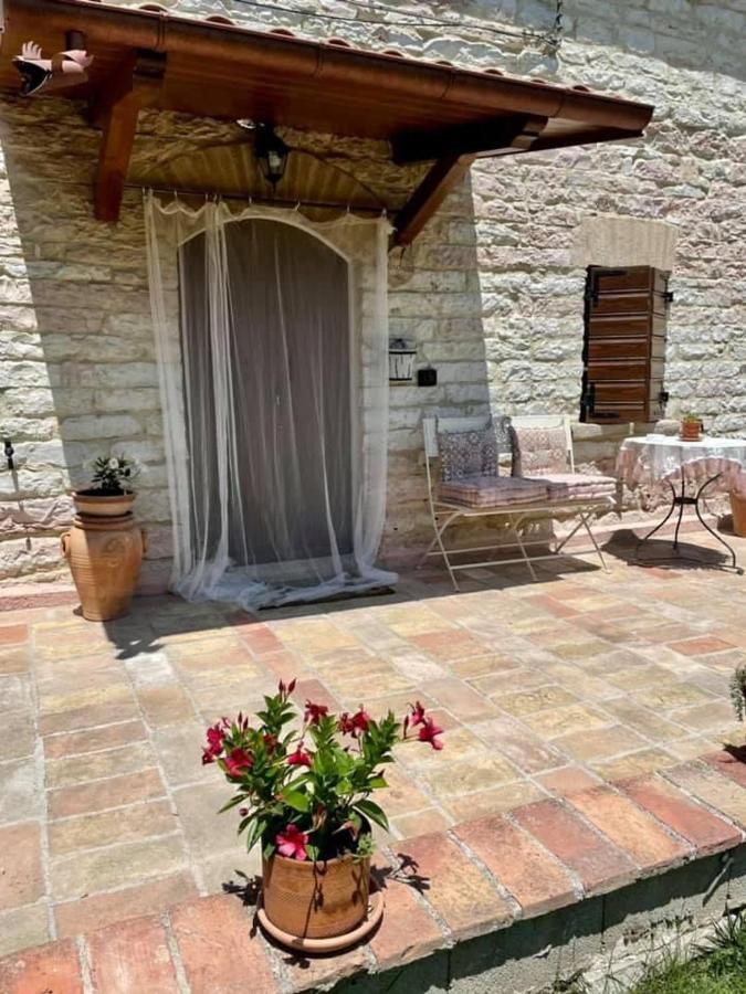 B&B Il Poggetto Serra SantʼAbbondio Kültér fotó