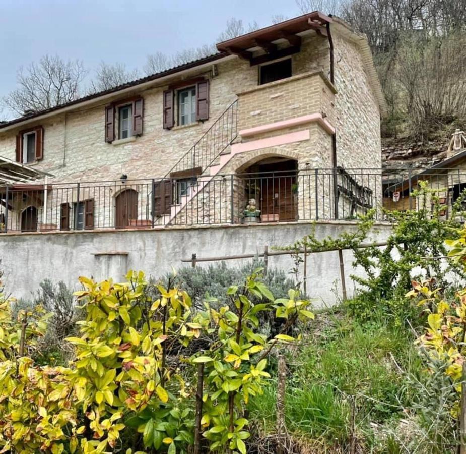 B&B Il Poggetto Serra SantʼAbbondio Kültér fotó
