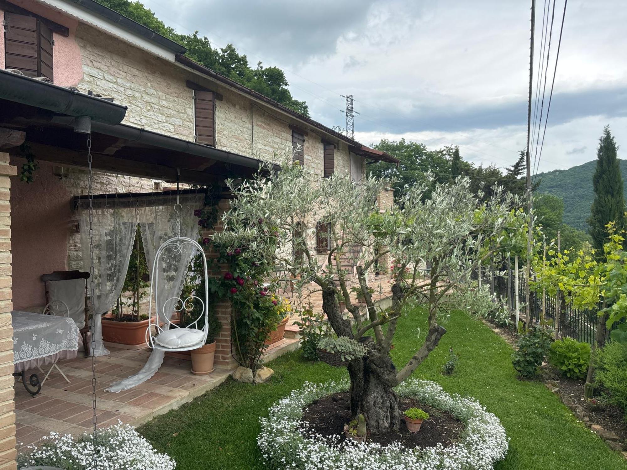 B&B Il Poggetto Serra SantʼAbbondio Kültér fotó