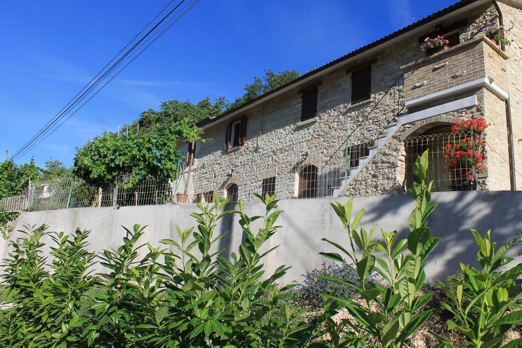 B&B Il Poggetto Serra SantʼAbbondio Kültér fotó