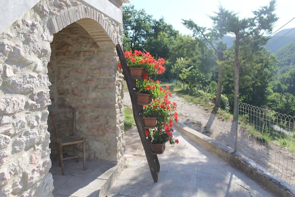 B&B Il Poggetto Serra SantʼAbbondio Kültér fotó