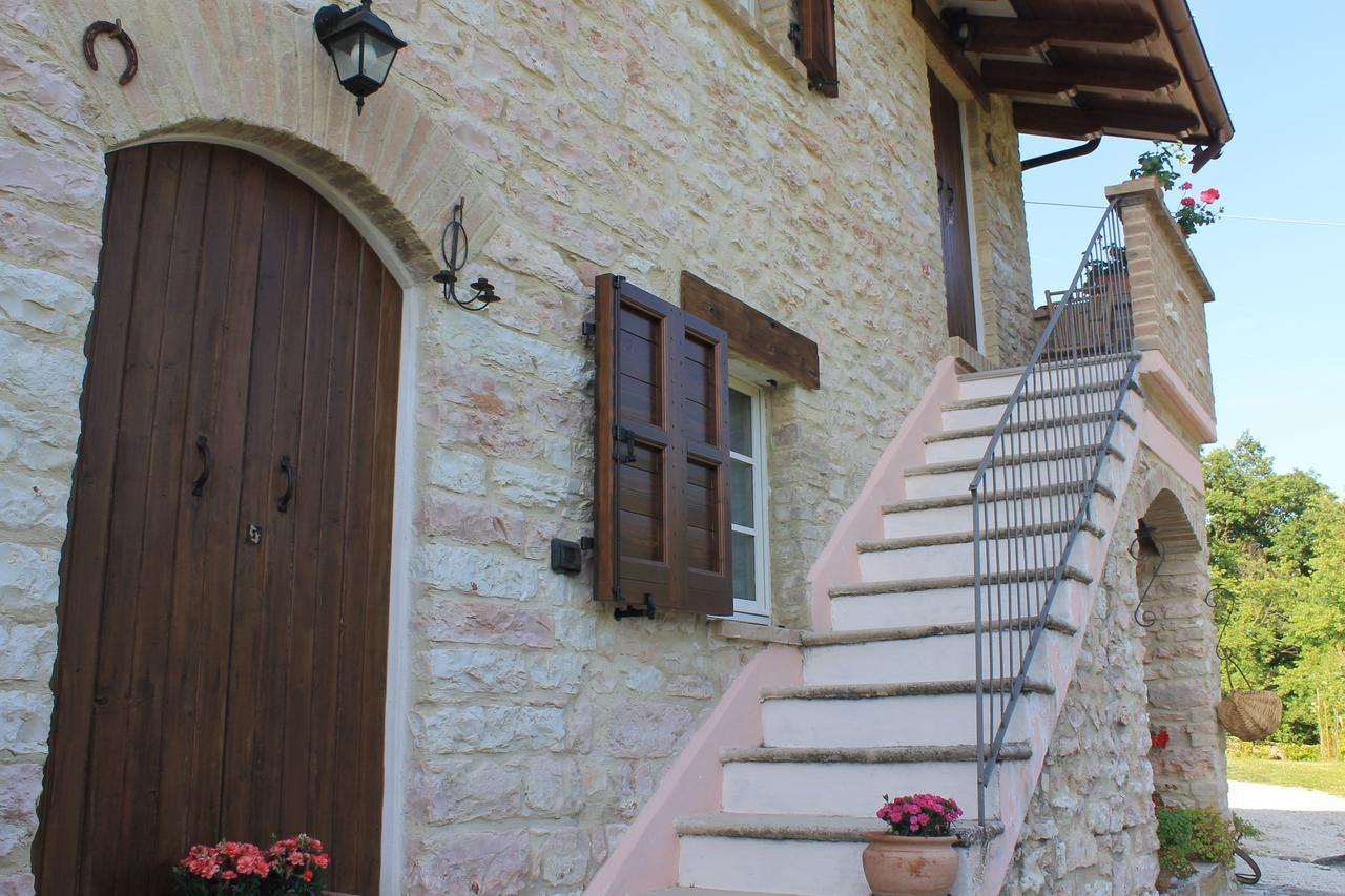 B&B Il Poggetto Serra SantʼAbbondio Kültér fotó